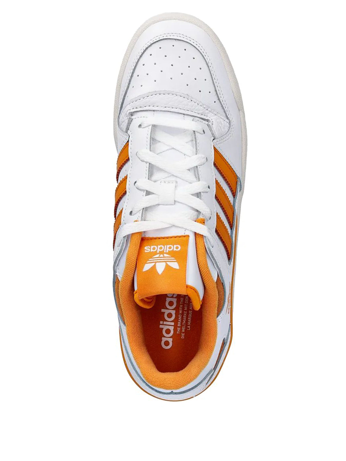 Adidas Originals SNEAKERS Bianco