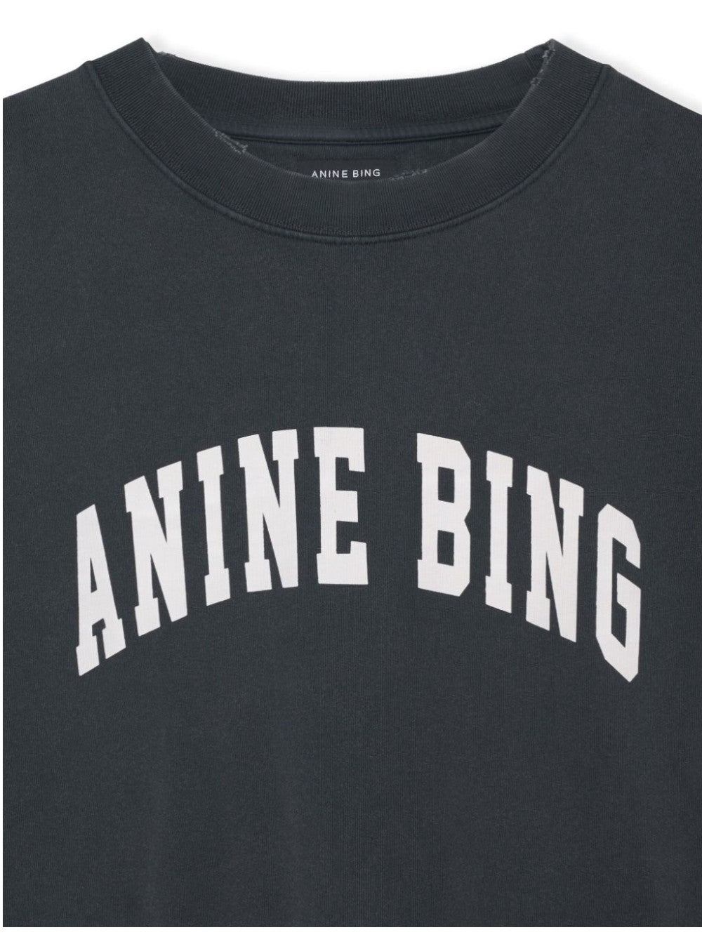 Anine Bing FELPE Grigio